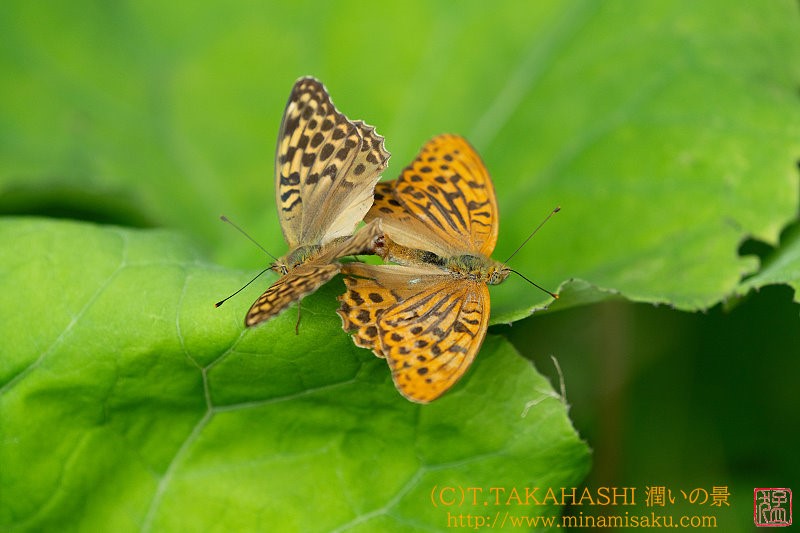 ../Images/7R240901 (31).jpg